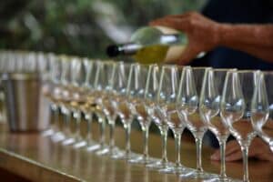 Row of wine glasses. Wine being poured for a wine tasting