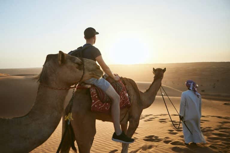 Camel riding in desert at sunset